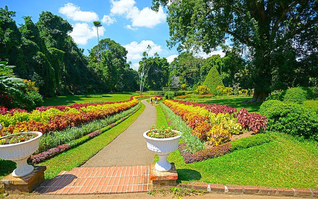 Landscaped Gardens