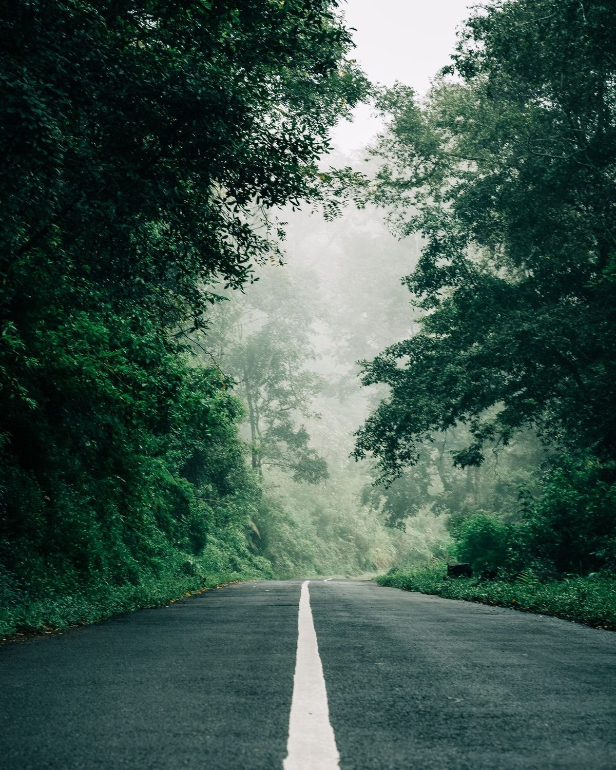 Internal roads